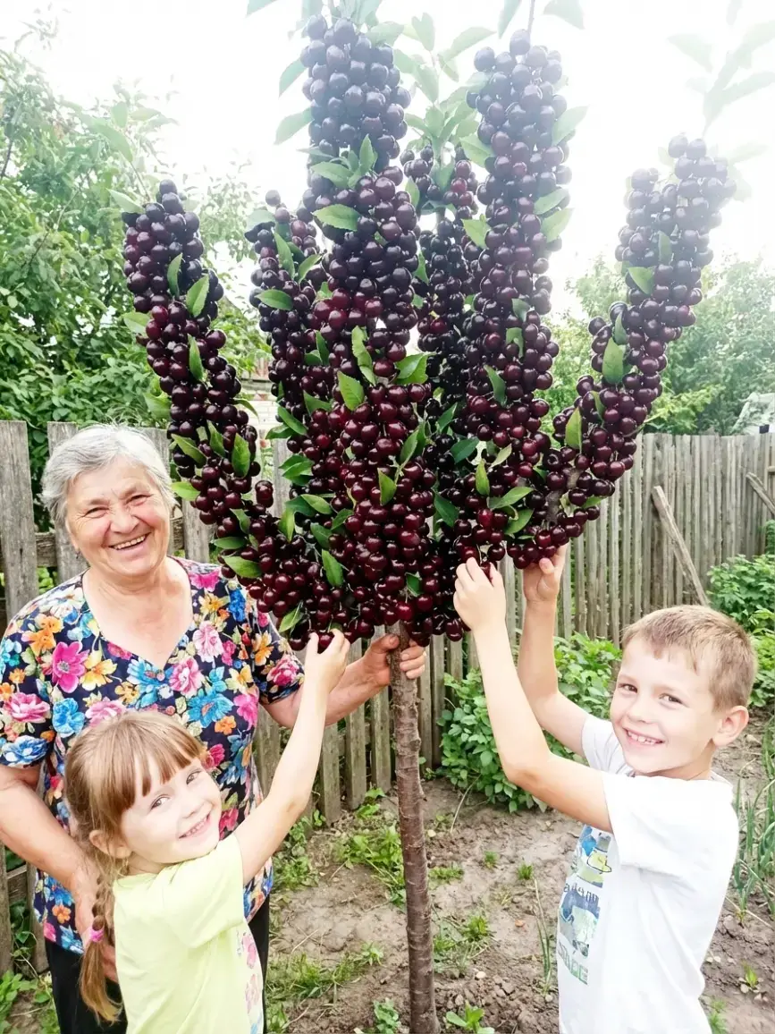 Ганна Петрівна